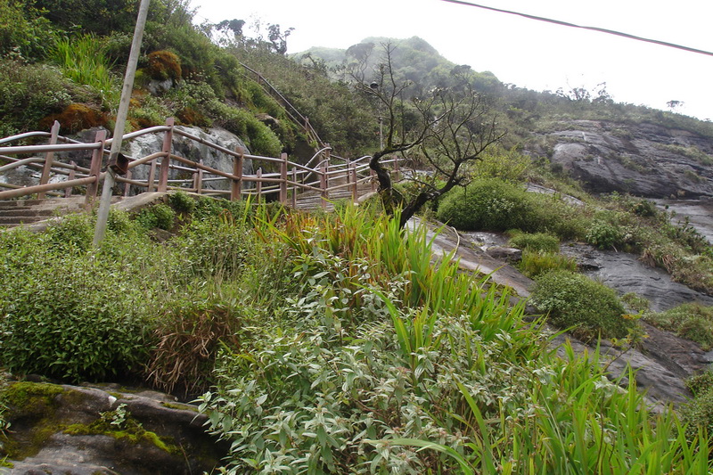 Sri Lanka, Adam’s Peak, Sri Pada